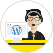 Wordpress Support
