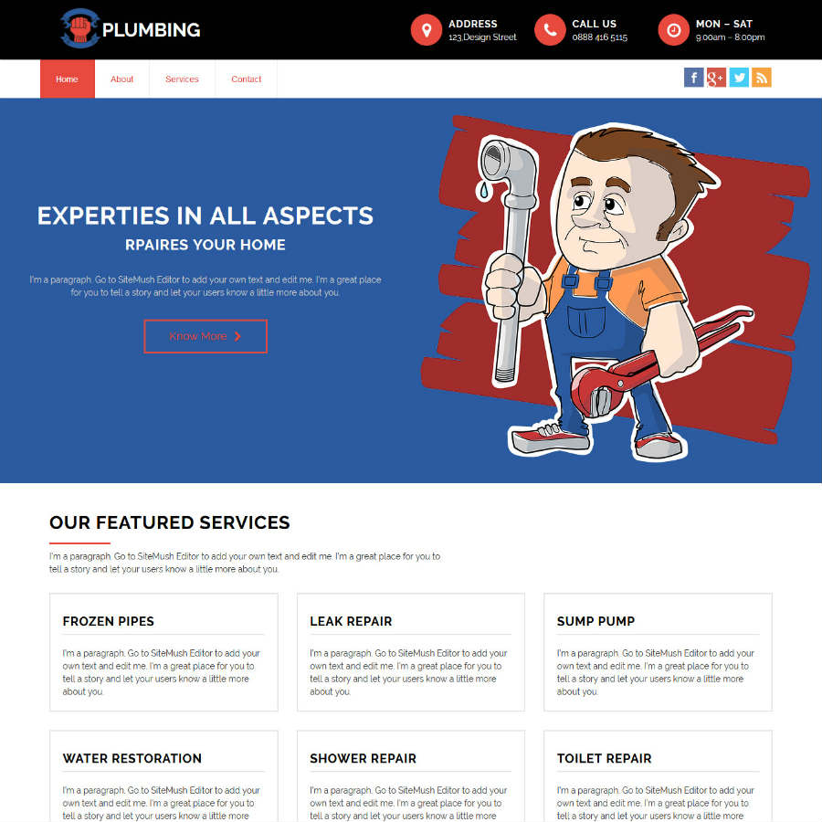 Plumbing website theme